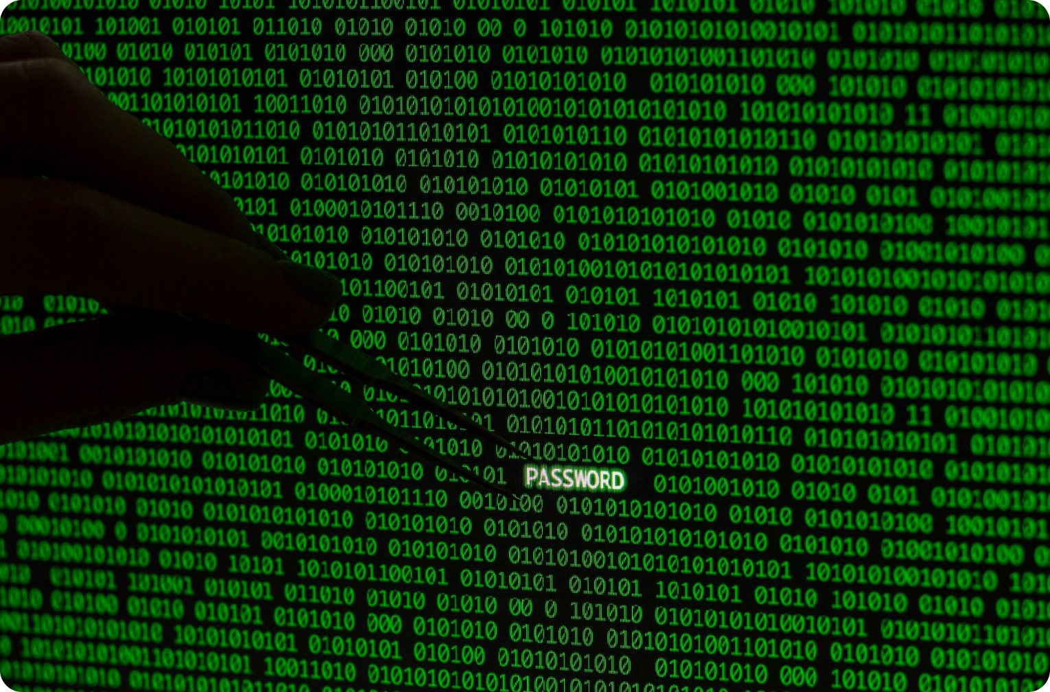 Security Program Assessment