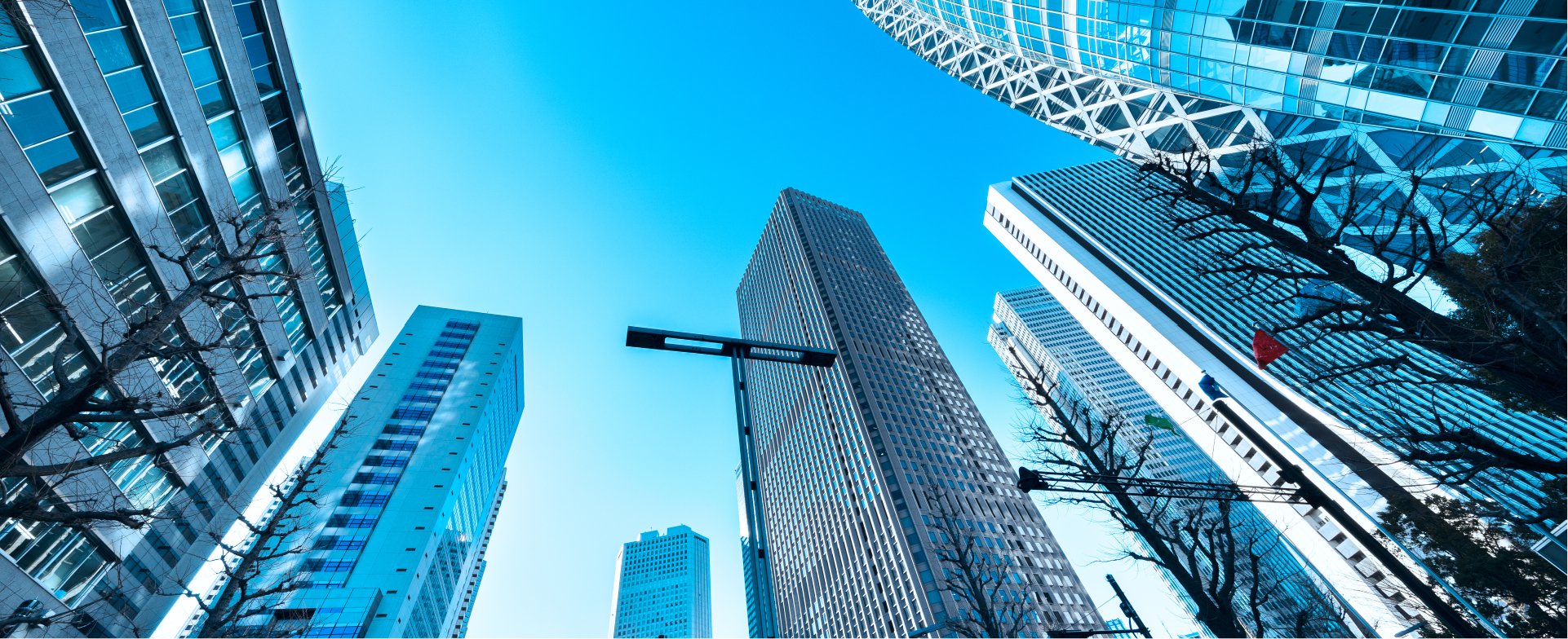 Information Security Services